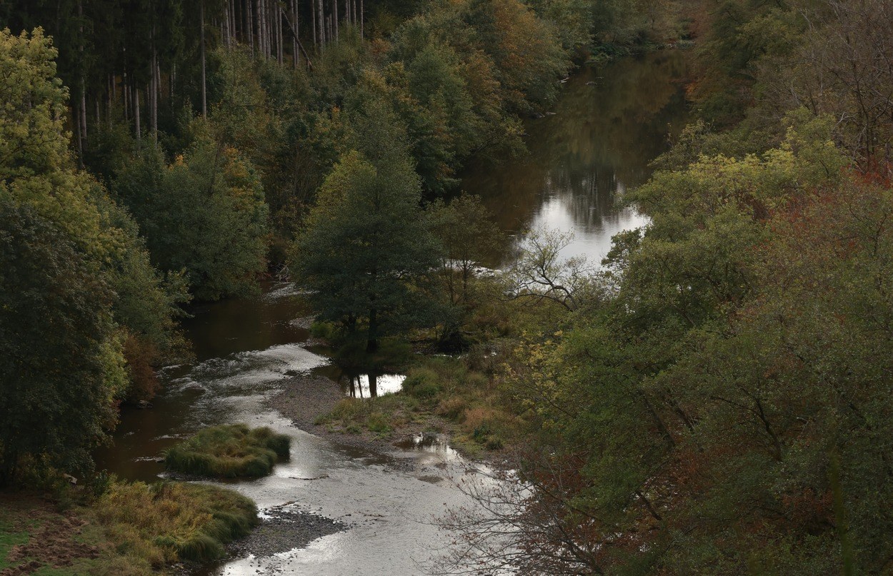 De Semois tussen het groen van de herfst